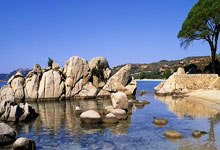 珍宝桑拿SPA，养生之旅开启(珍宝桑拿spa,养生之旅开启了)